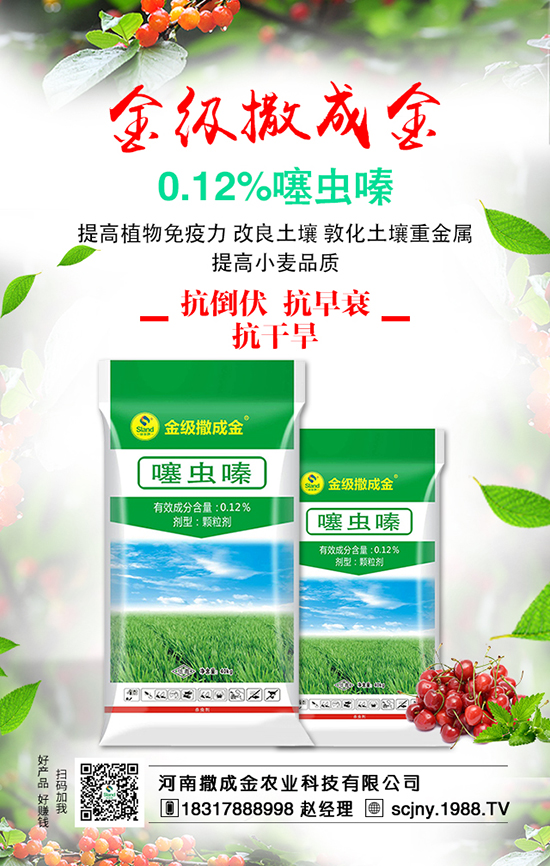 ���Է��ϊZ�����B��������