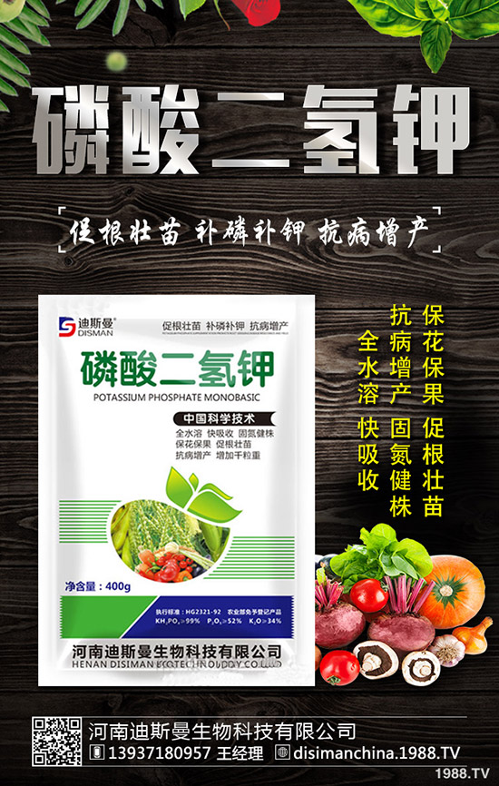 醋栗怎么種植，醋栗種植方法及日常管理技巧！