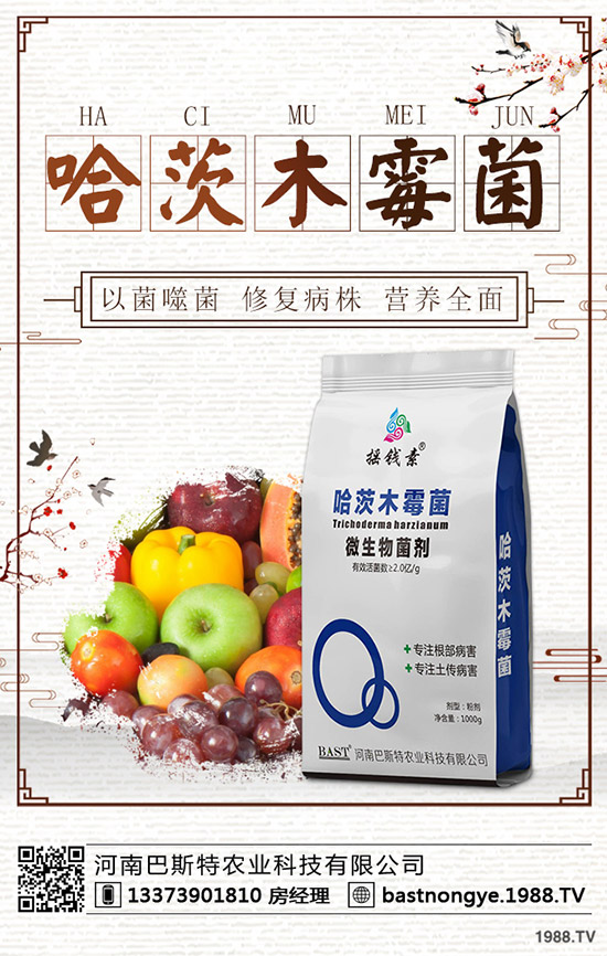 冬儲行情即將啟動!最新鉀肥價格行情預(yù)測2019-12-20