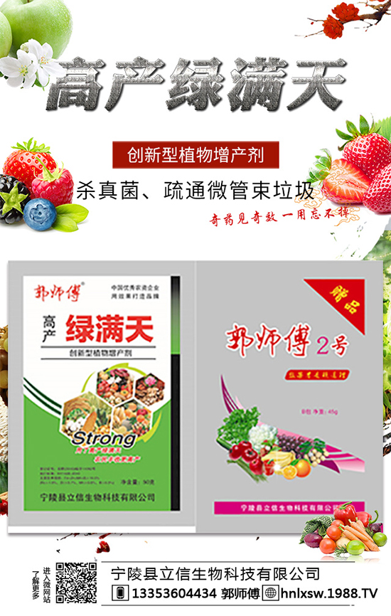 辣椒種子怎么進行浸泡處理?辣椒種子的催芽方法及好處!