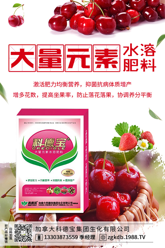 2019-12-21���؃r(ji��)�������(d��ng)�B(t��i)�������Xһ����