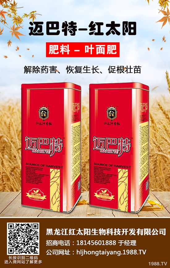 ⛷ʃr(ji��)���ǝq�ǵ���2019-12-21��(gu��)��(n��i)����⛷ʃr(ji��)���߄�(sh��)����