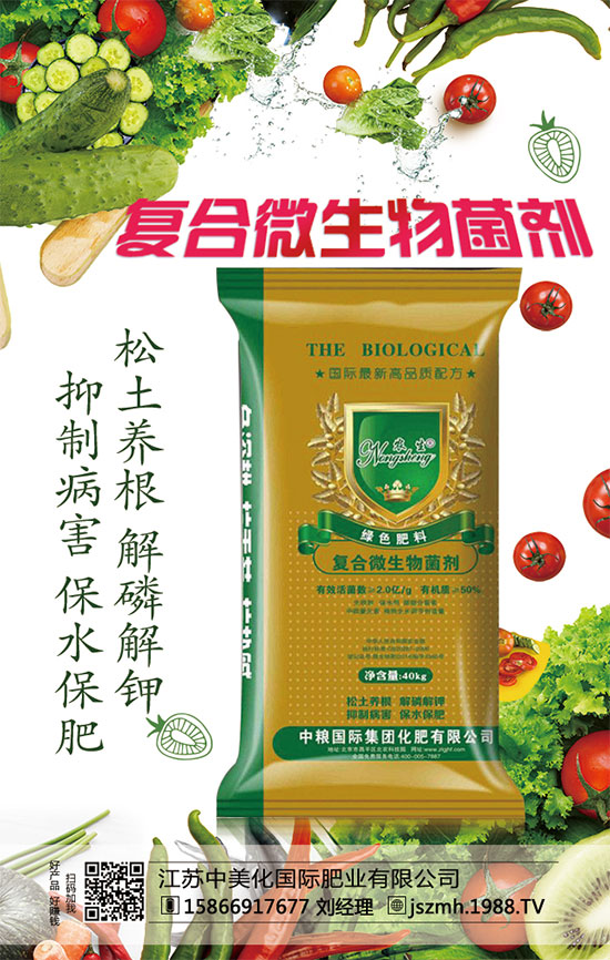     蘆筍市場價多少錢一斤？2020年蘆筍種植前景怎么樣？種植效益分析！