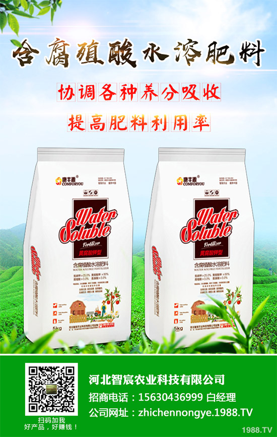 綠花菜該怎么種？綠花菜的高產(chǎn)種植技術(shù)