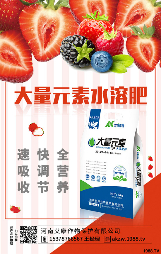 老虎姜該怎么種植？老虎姜高產(chǎn)種植技術(shù)管理