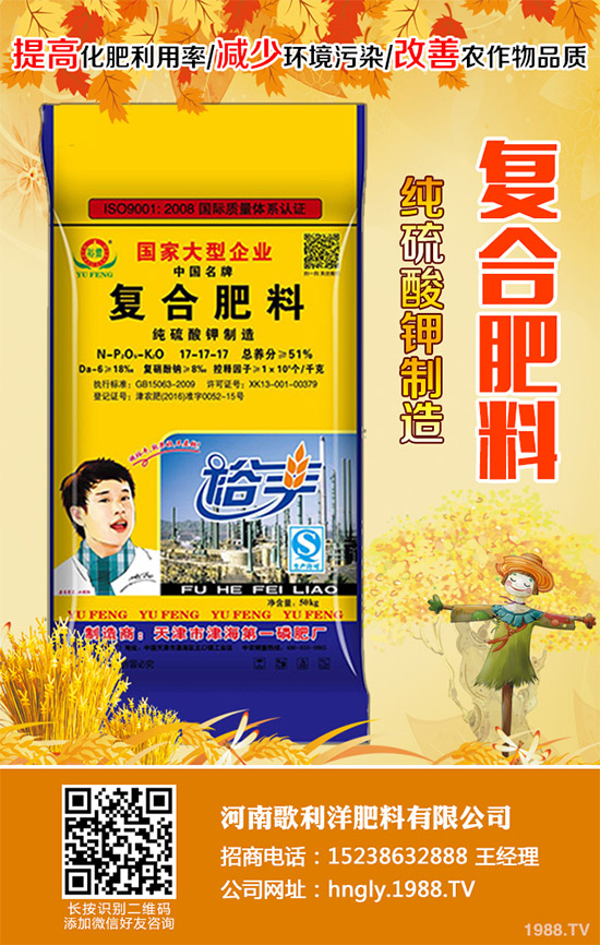 老虎姜該怎么種植？老虎姜高產(chǎn)種植技術(shù)管理