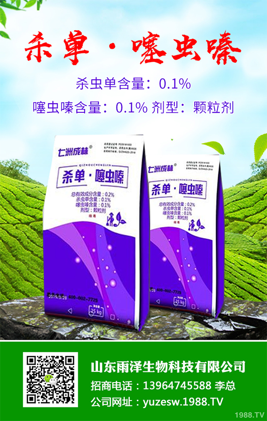 �������x(ch��ng)���r(ji��)��