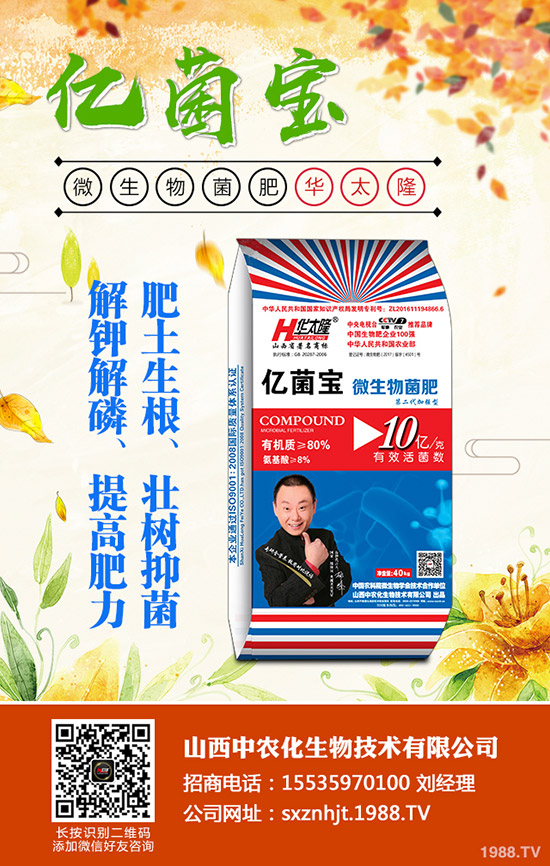     ���@�r(ji��)���Դ�С���»����g��2019��12�µ�������@���������