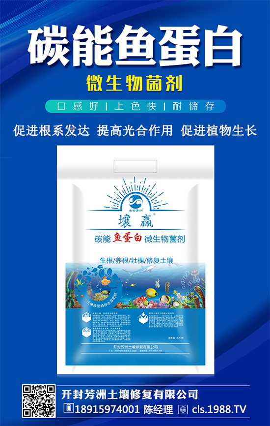 黃皮果種植管理要點，黃皮果種植條件有哪些？