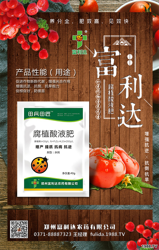 �Nֲʲôˎ����ٍ�X��2020����ˎ�ķNֲǰ������