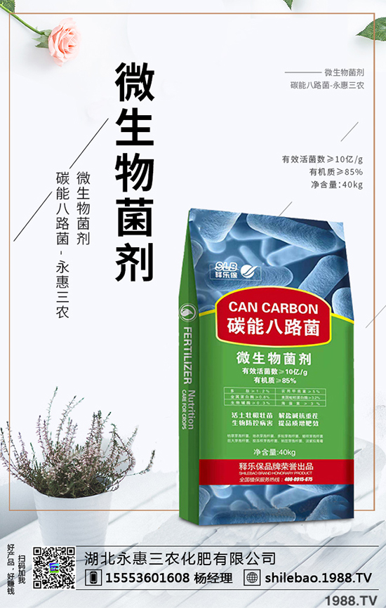 2020����÷�ķNֲǰ����Σ���÷�r������Xһ����