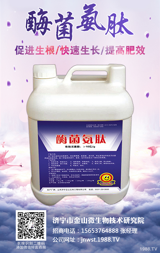 �r(n��ng)����ʺ�����ô�l(f��)������ʩ������α���ʺ��l(f��)����