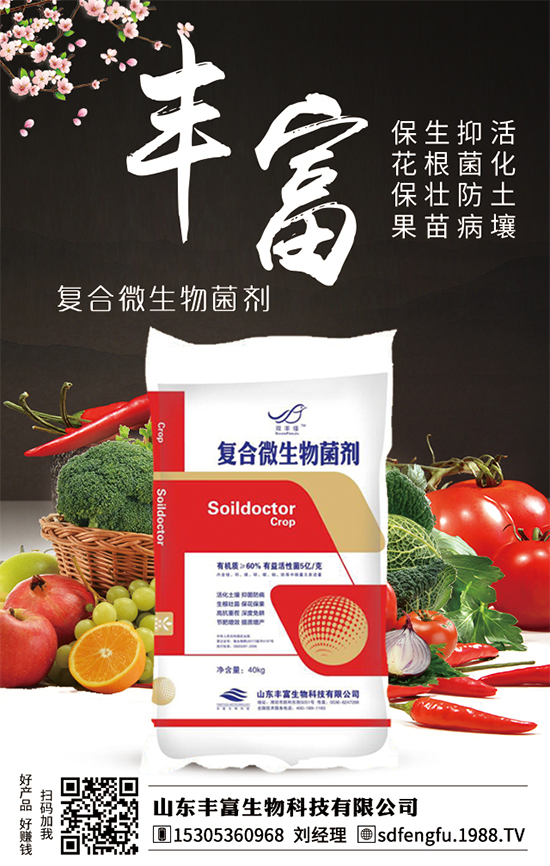 枇杷什么時間嫁接比較好？嫁接的枇杷樹幾年結(jié)果？（枇杷樹嫁接方法）