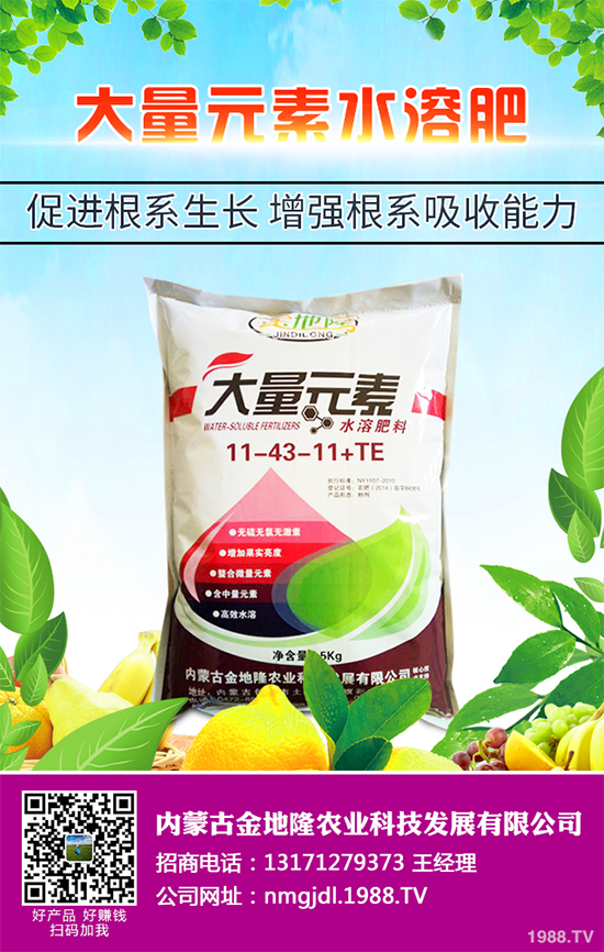 降雪過后，蔬菜大棚你知道該怎么管理嗎？