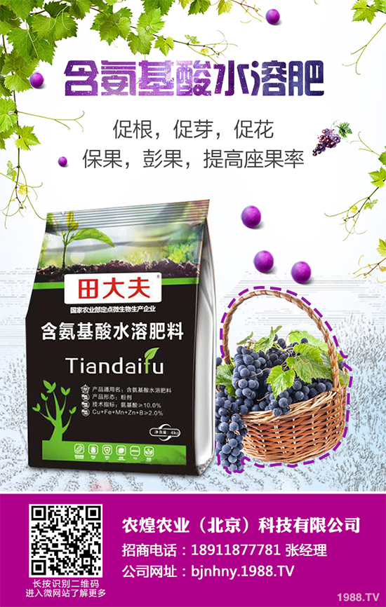 降雪過后，蔬菜大棚你知道該怎么管理嗎？