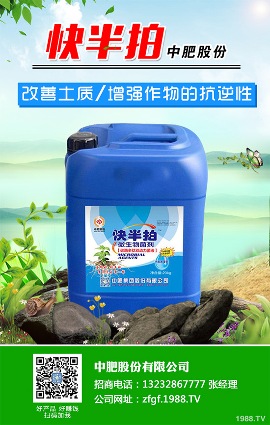 金線(xiàn)蓮該如何種植?金線(xiàn)蓮的種植及養(yǎng)管理