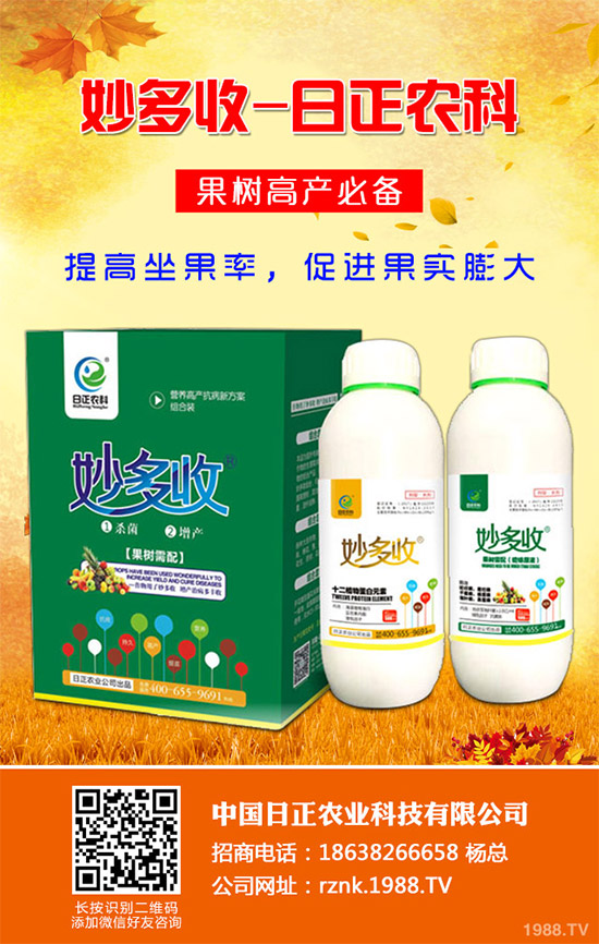 金線(xiàn)蓮該如何種植?金線(xiàn)蓮的種植及養(yǎng)管理