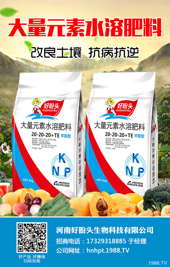 你所不知道的金線蓮,輕松排除人體11種毒素!