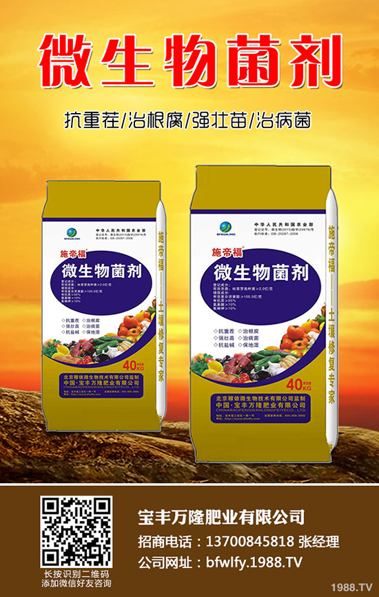 花生什么時(shí)候種植，花生播種技術(shù)要點(diǎn)總結(jié)