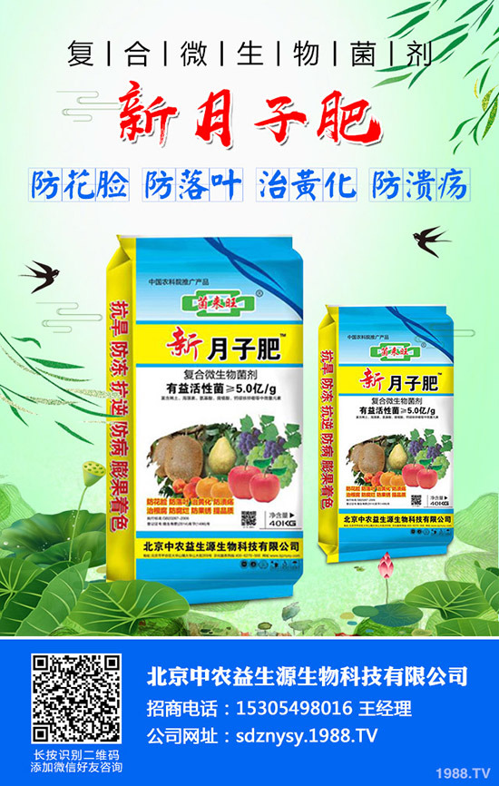     2019-12-5���@�����߄�(sh��)ƽ��������������@�r(ji��)�����(b��o)��