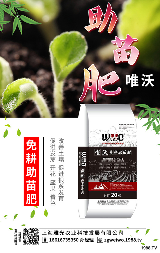     ɽˎʲô�r(sh��)����գ�ɽˎ���A�ط�������Щ��