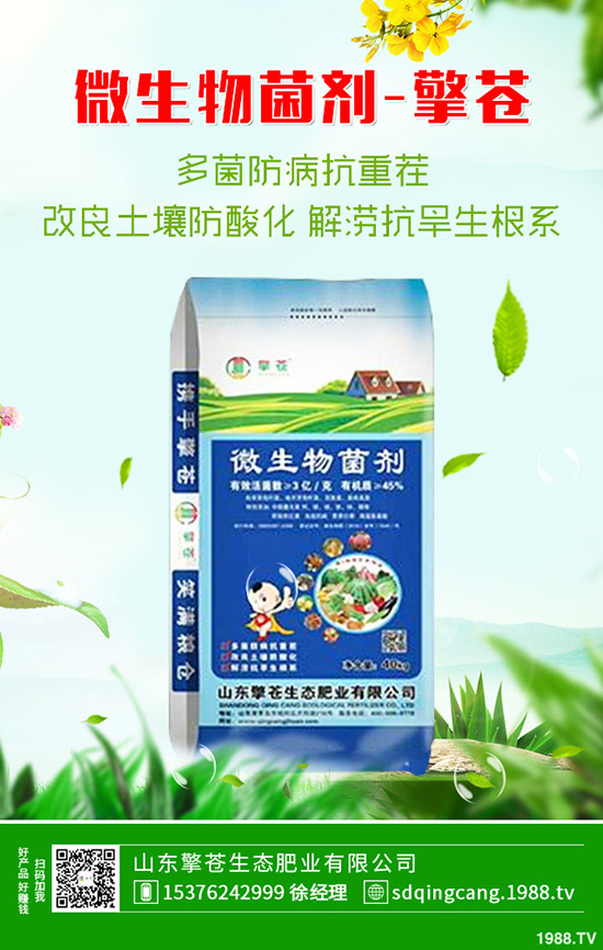     2019-12-7����һ�@������ԣ�����һ�@���r(ji��)�����(b��o)��