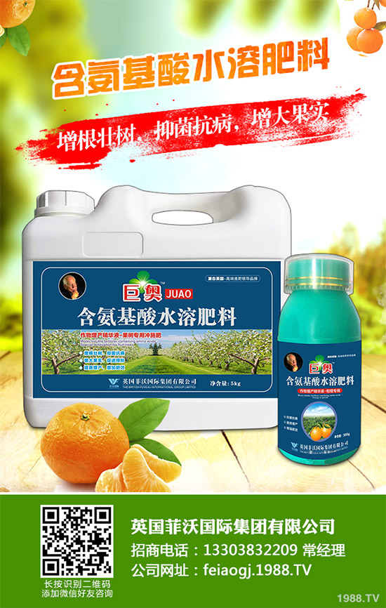 �҇��Ϸ�ԓ���ӷNֲ�{ݮ���{ݮ�߮a(ch��n)�Nֲ���g(sh��)Ҫ�c