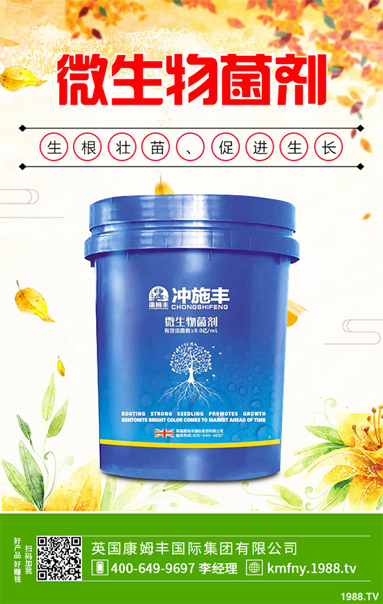 �҇��Ϸ�ԓ���ӷNֲ�{ݮ���{ݮ�߮a(ch��n)�Nֲ���g(sh��)Ҫ�c