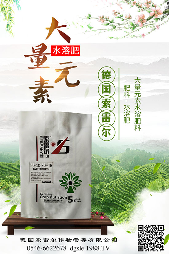 青棗的功效與作用，吃青棗有什么好處？