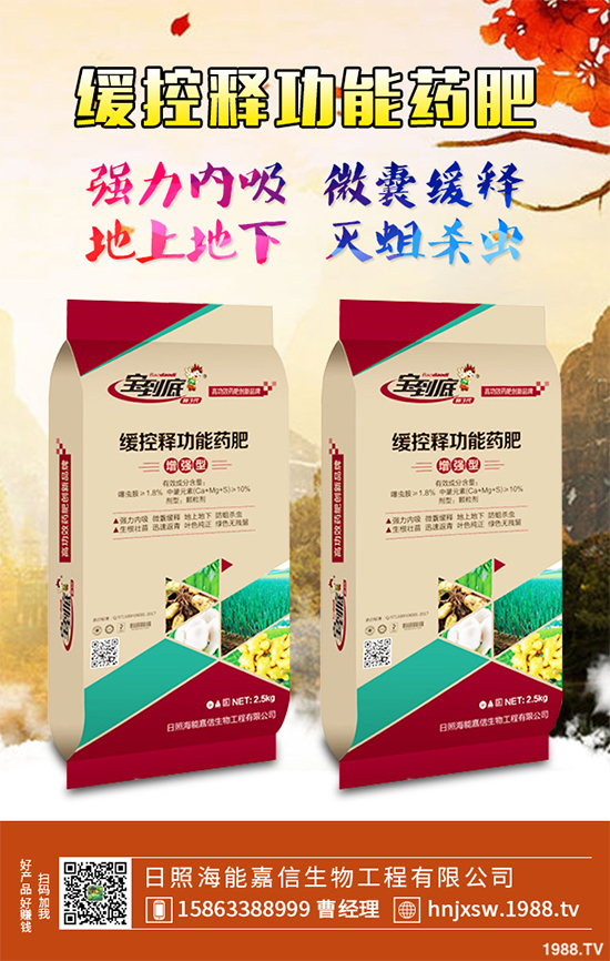 �۲�ԓ��ηNֲ��ע��Щʲô���۲˸߮a(ch��n)�Nֲ����