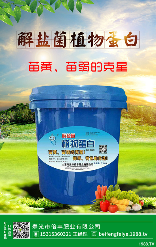 芹菜立枯病時如何引起的?該怎樣預(yù)防?芹菜立枯病大預(yù)防措施