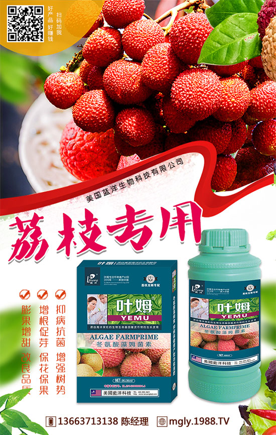 今日國內(nèi)復(fù)合肥價(jià)格行情及后市預(yù)測2019.8.29