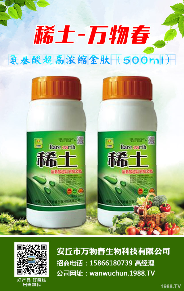 大蔥種植怎么管理？秋季大蔥管理好方法