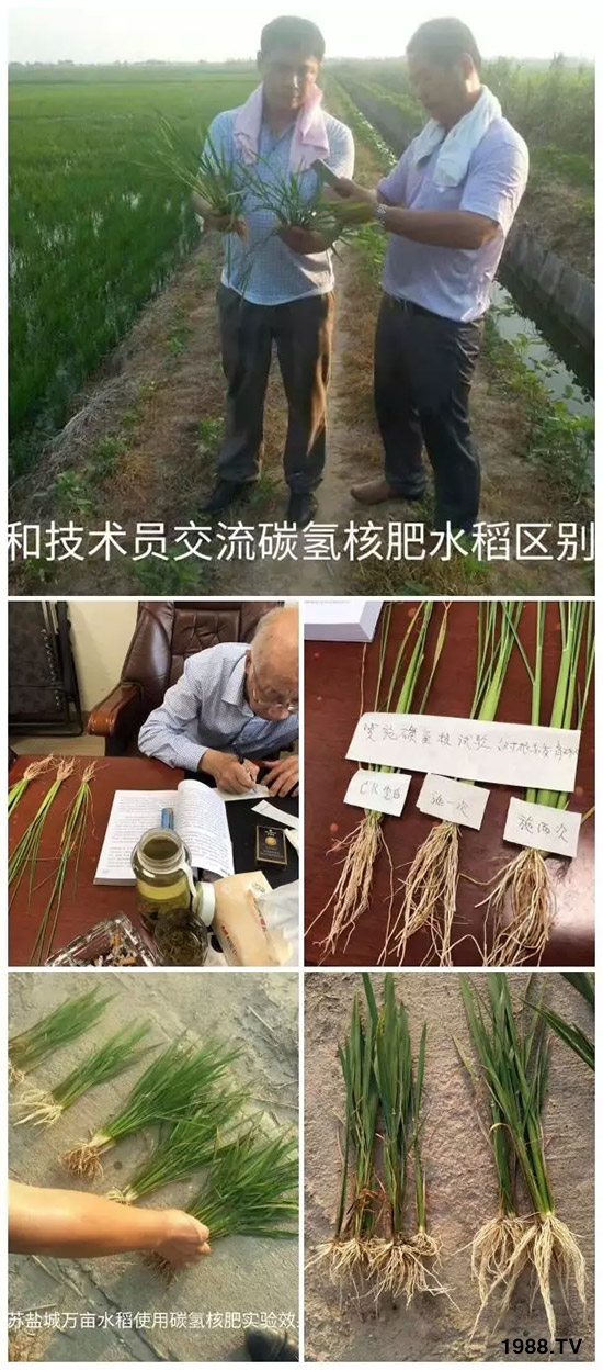 上百家媒體報(bào)道,打造超過(guò)歐盟食品標(biāo)準(zhǔn)作物!碳?xì)浜朔示褪沁@么火爆!