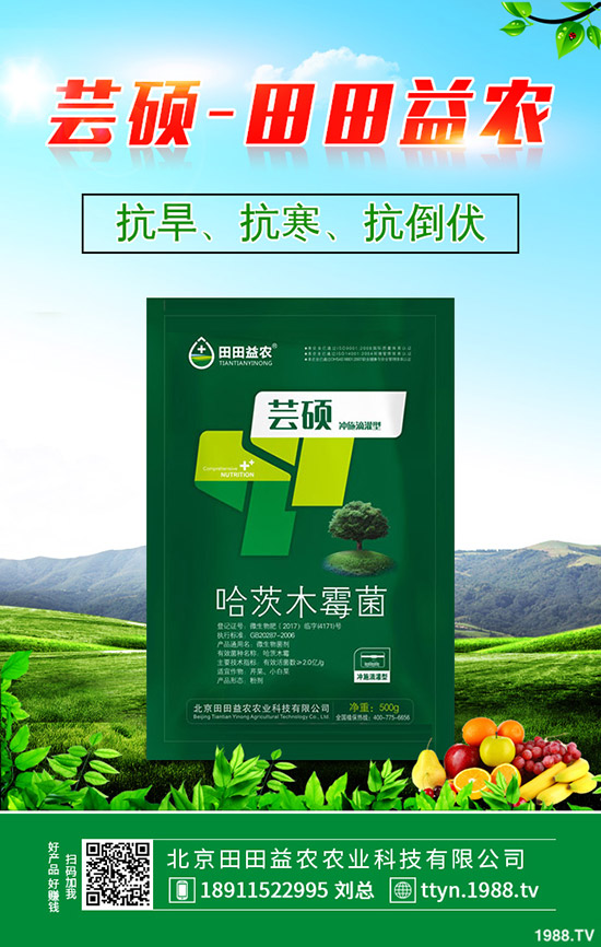 蔬菜葉子發(fā)黃是什么原因,蔬菜黃葉防治技巧!