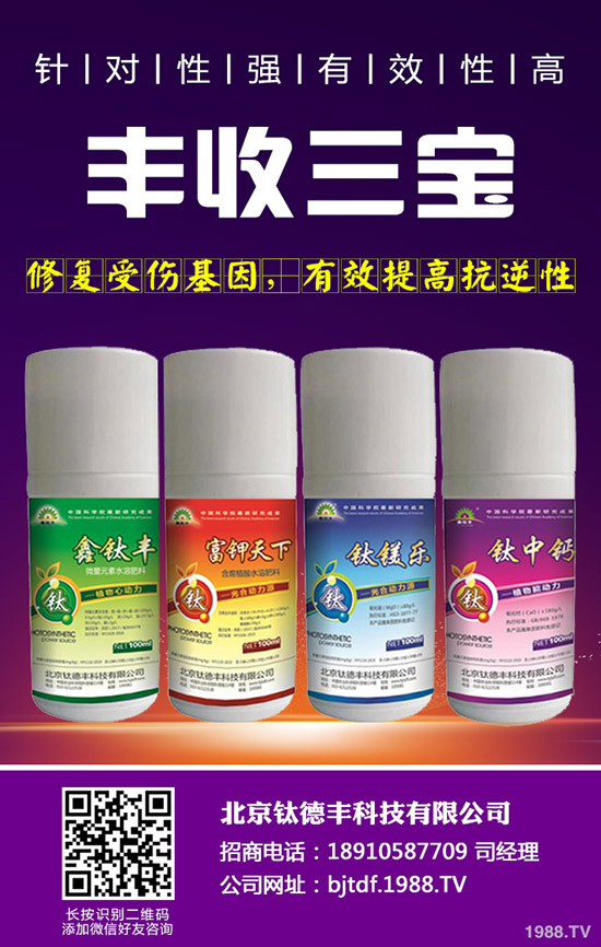 �������ʩ�ʲ��ܸ߮a(ch��n)������߮a(ch��n)ʩ�ʼ��g(sh��)��