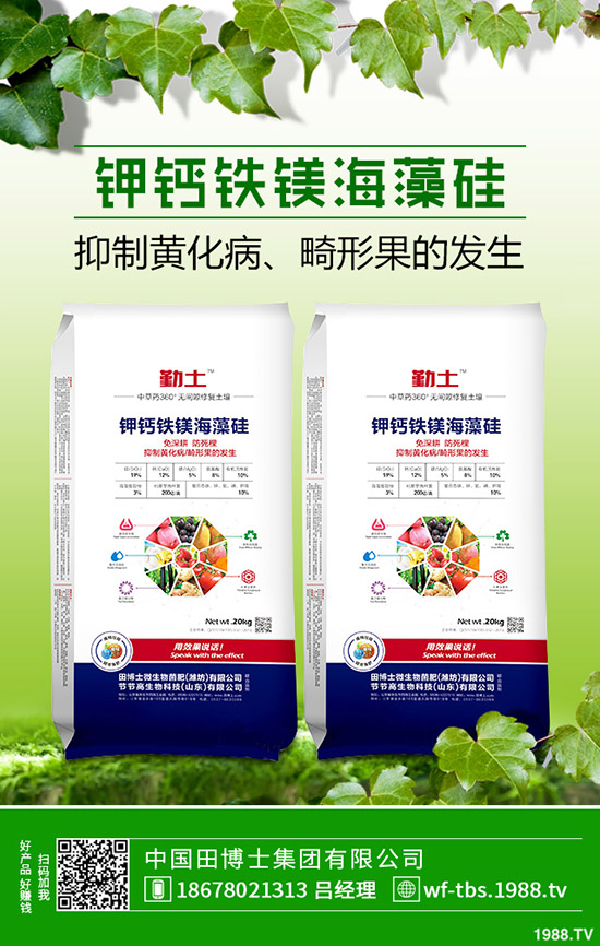 �ﶬ�����S����ηNֲ���ﶬ�S�ϵķNֲ����������������