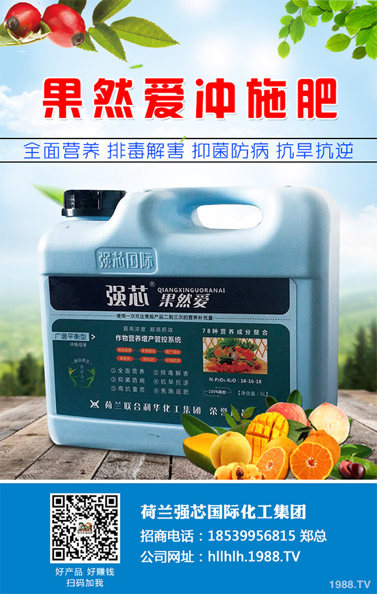 芥菜種植需要注意什么?芥菜高效種植技術(shù)及管理事項