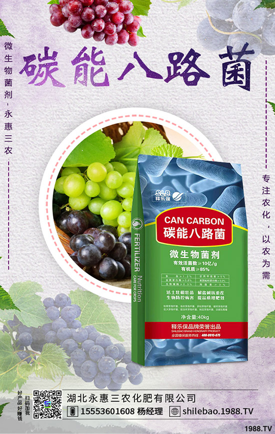 花菜什么時(shí)候種植合適?花菜種植時(shí)間及種植管理技術(shù)!