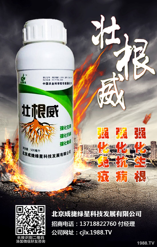 青椒的種植方法有哪些？青椒種植過程中需要注意的幾大問題