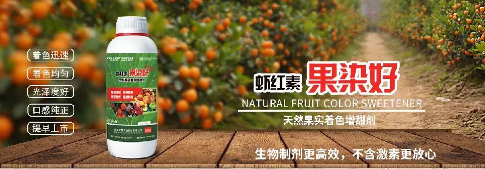 天然果實(shí)著色增甜劑——蝦紅素●果染好！