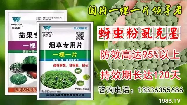 蚜蟲、飛虱防不住？一片藥輕松搞定！預(yù)防率95%，持效長達(dá)120天！