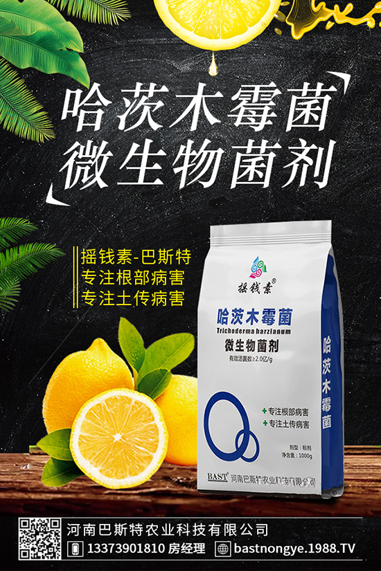 虎皮蘭爛根怎么辦，虎皮蘭爛根的防治措施！