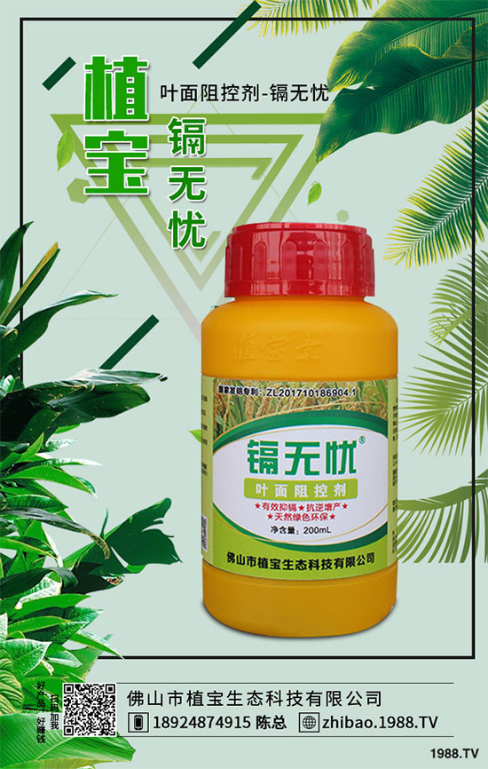 秋季大蔥什么時間種植？2019秋茬大蔥種植技術指南