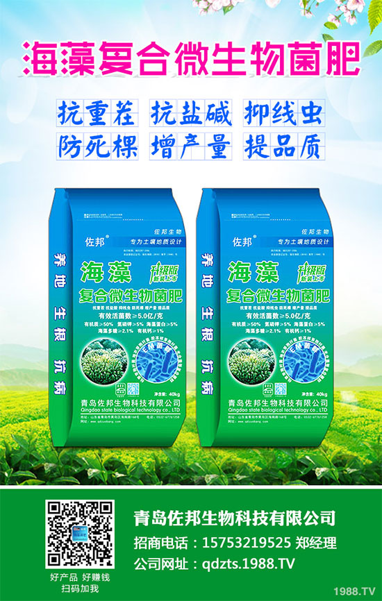 大蔥該如何施肥才能高產(chǎn)?大蔥高產(chǎn)施肥技術(shù)