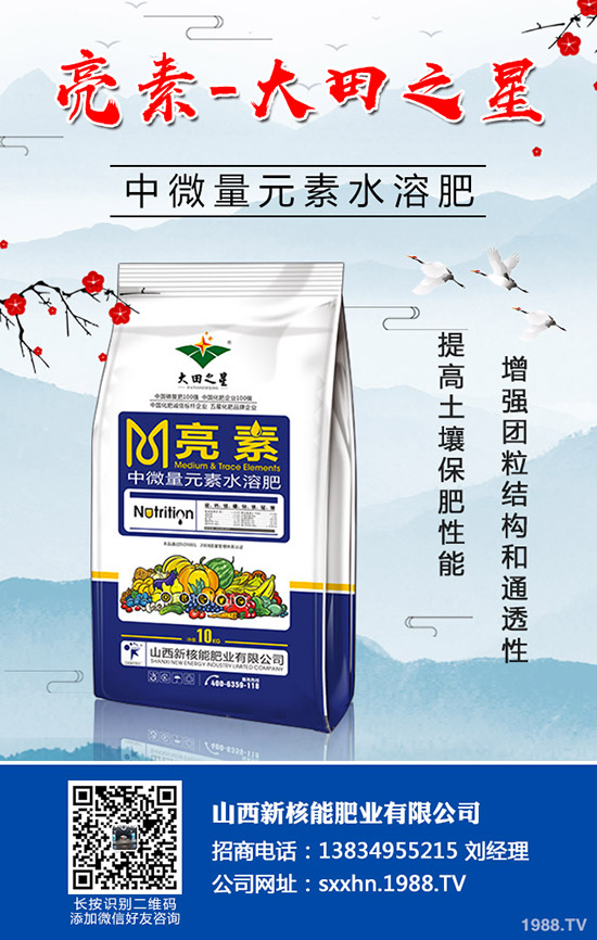 冬儲開始!最新國內(nèi)復合肥市場價格行情走勢分析2019-9-17