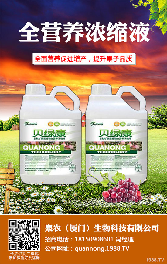 大蔥常見病蟲害有哪些?該如何防治?大蔥病害防治技術(shù)