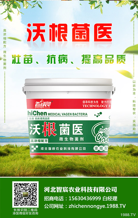 �Ծ��Ĳ�����Щ��̎�����Ĳ˵Ĺ�Ч��������