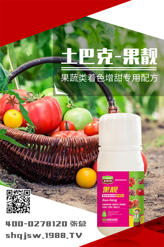 �ϹϷNֲ�r�g��ʲô�r�����ϹϵĲ��N���������༼�g(sh��)!