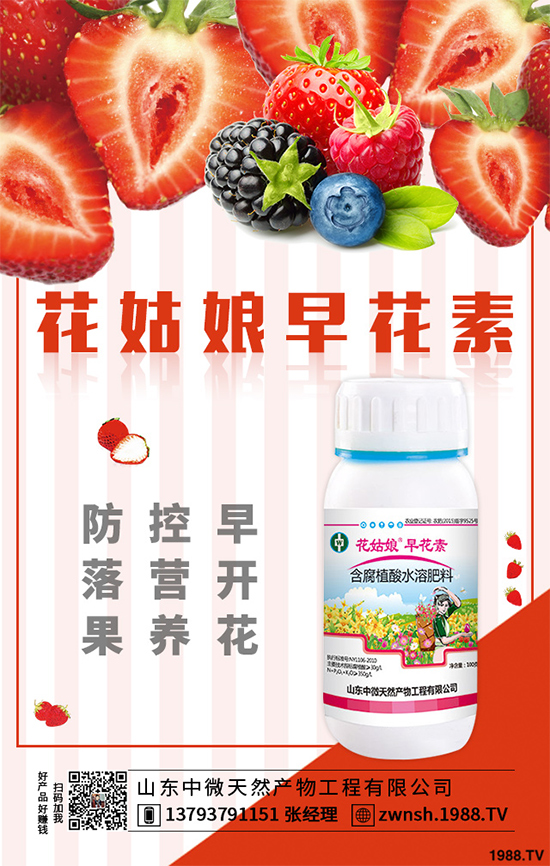 大蔥苗期病害有哪些危害表現(xiàn)？該如何預(yù)防？大蔥苗期病害預(yù)防措施